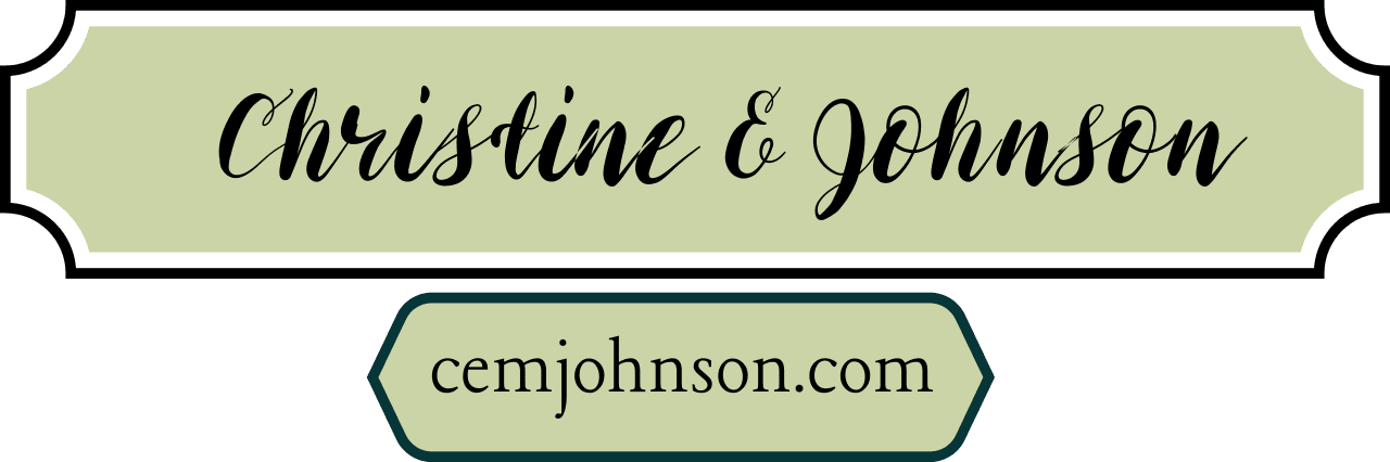 Christine E Johnson