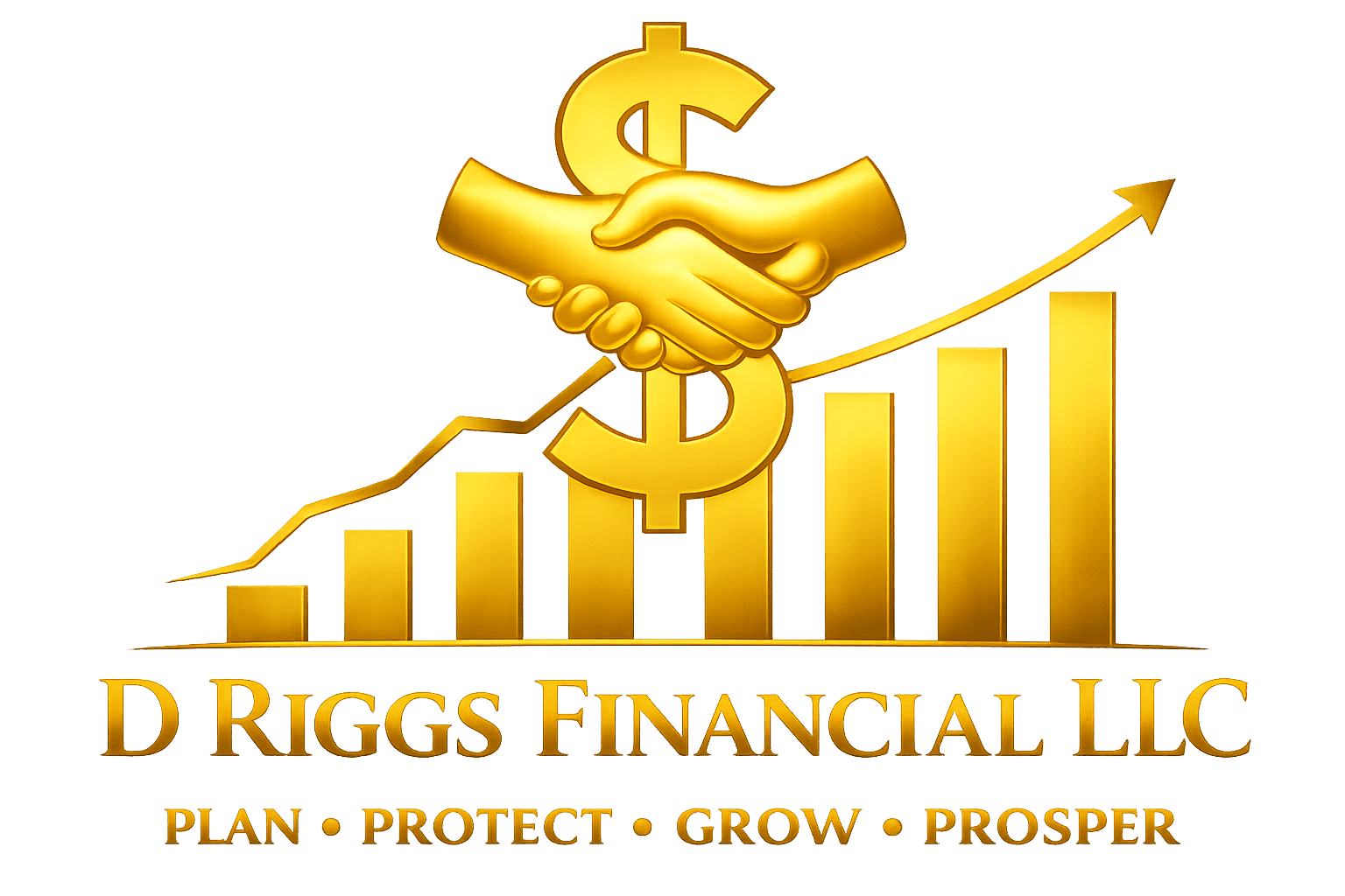 D RIGGS FINANCIAL LLC
