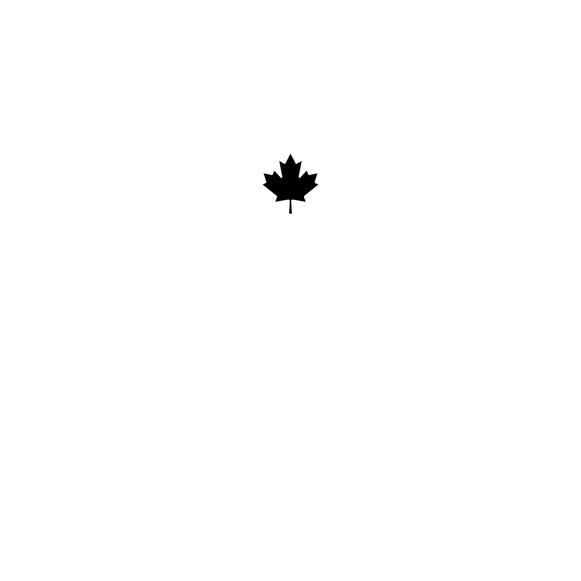 MB Renovations & Construction