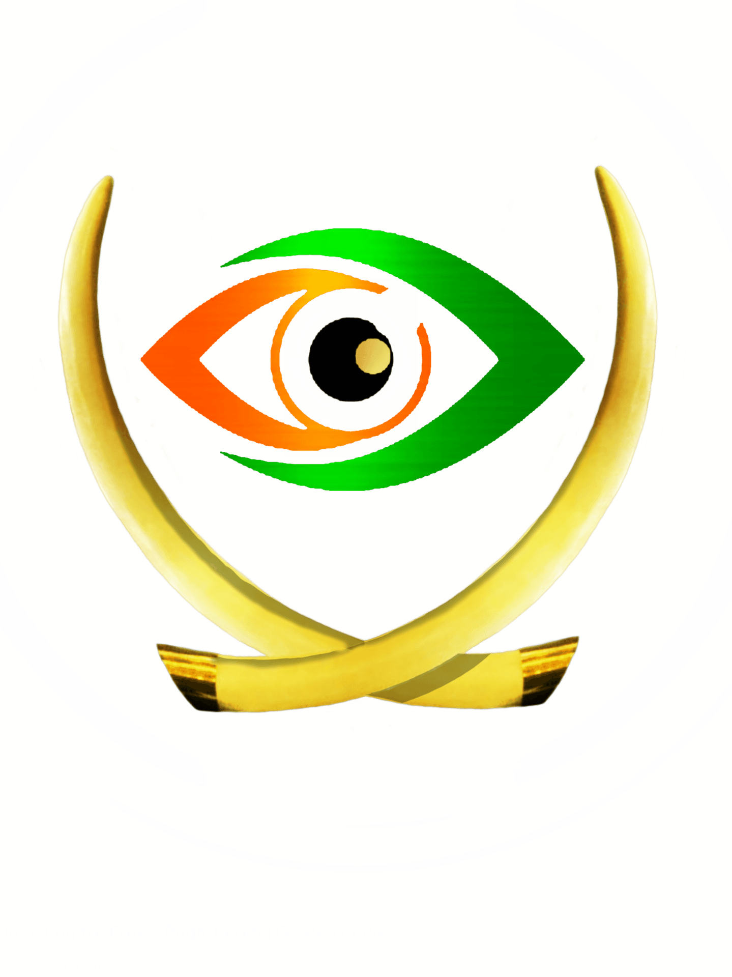 IC Deals Investment Inc