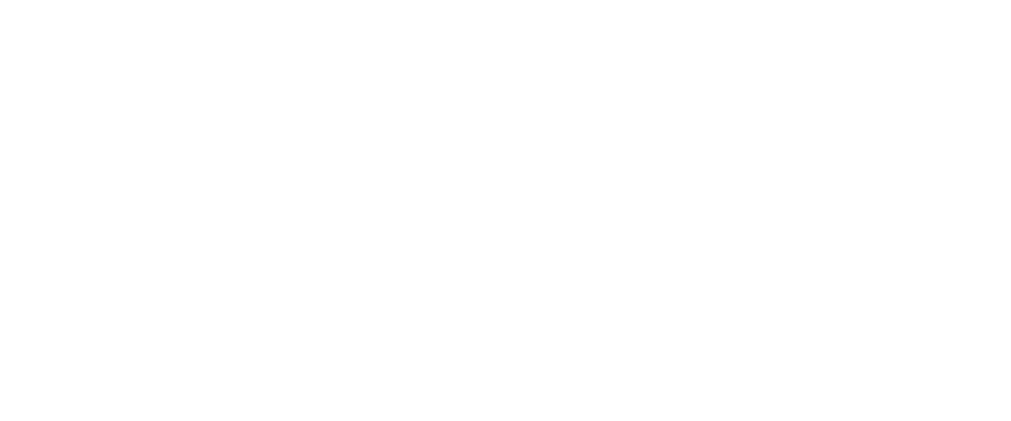 CLEAN 