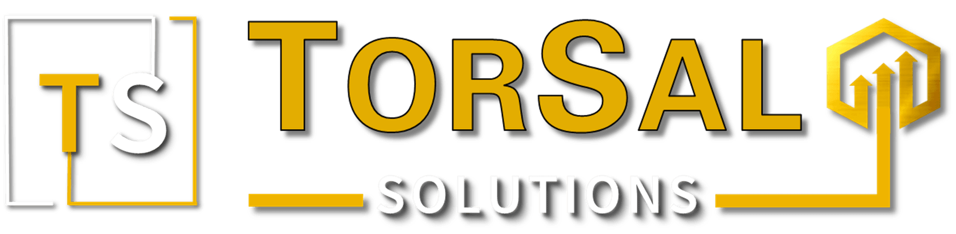 TorSal Solutions Consulting