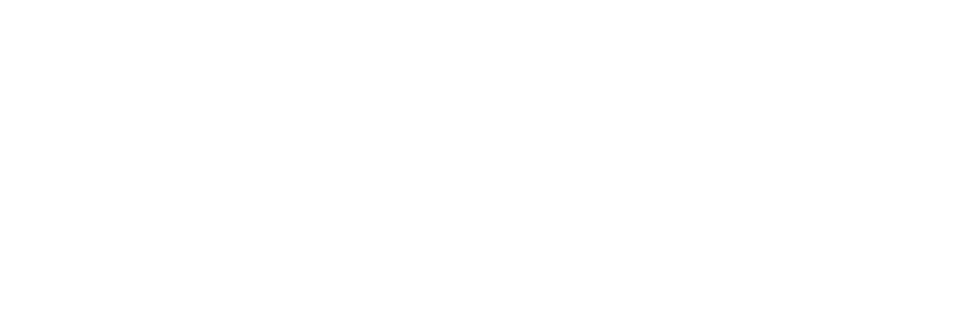 DataStrut AI