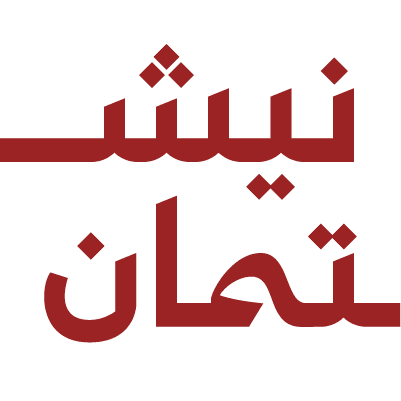 Nishtman Strategy Institute