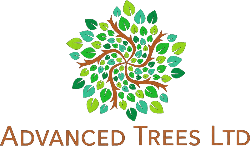 ADVANCED TREES LTD