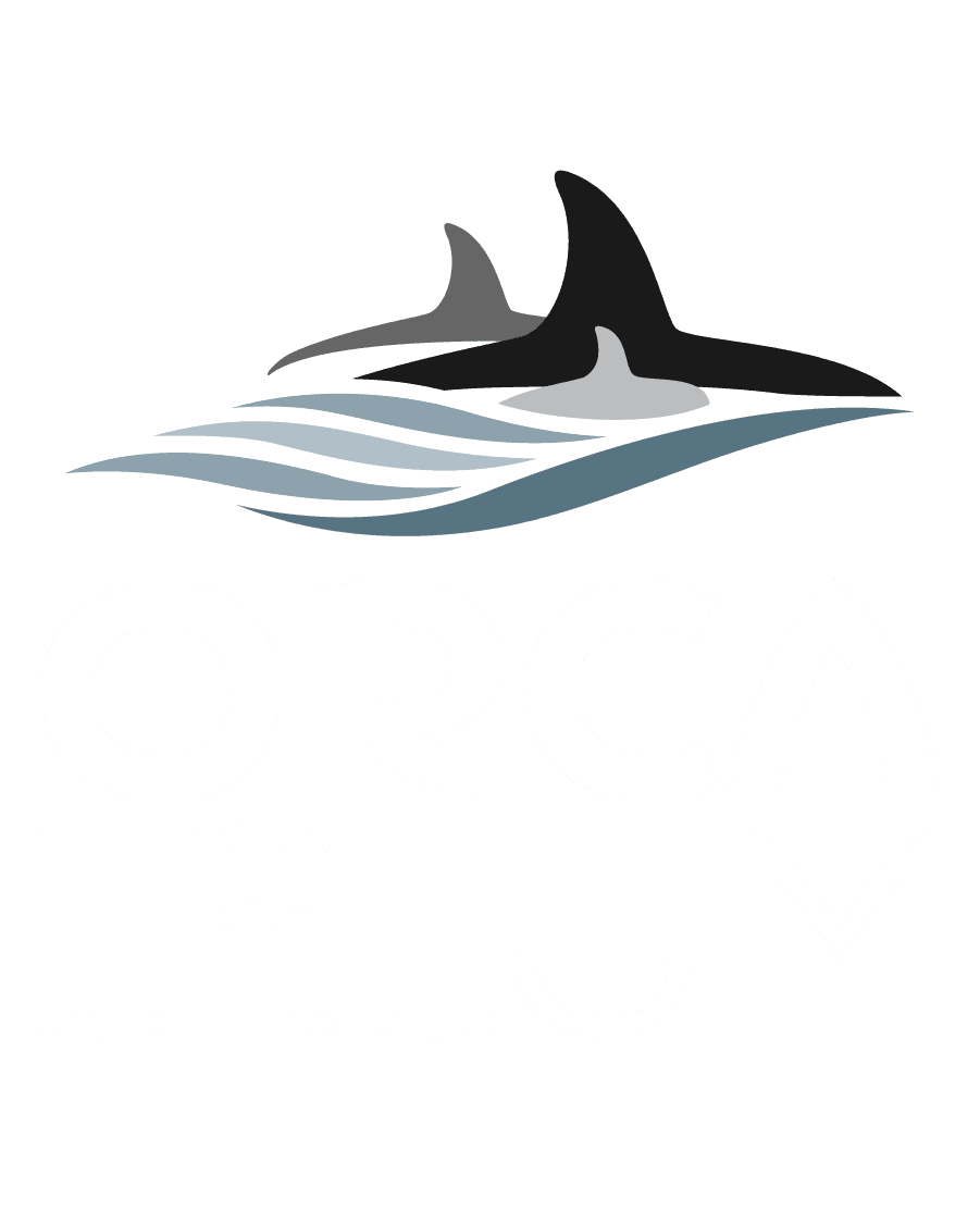 Orca Lelum Youth Wellness Centre