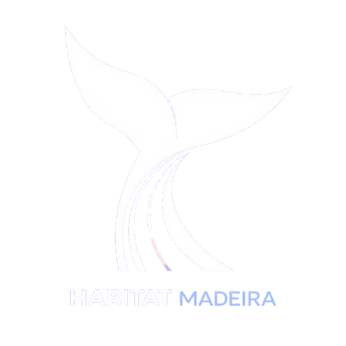 Habitat Madeira Car Rental