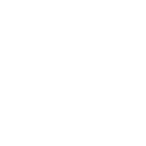 Leading Lady Network