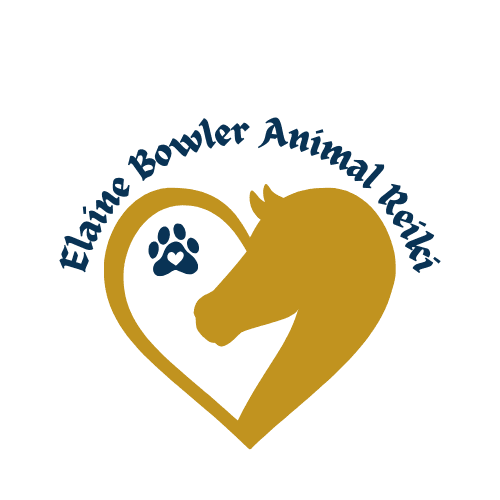 Elaine Bowler Reiki