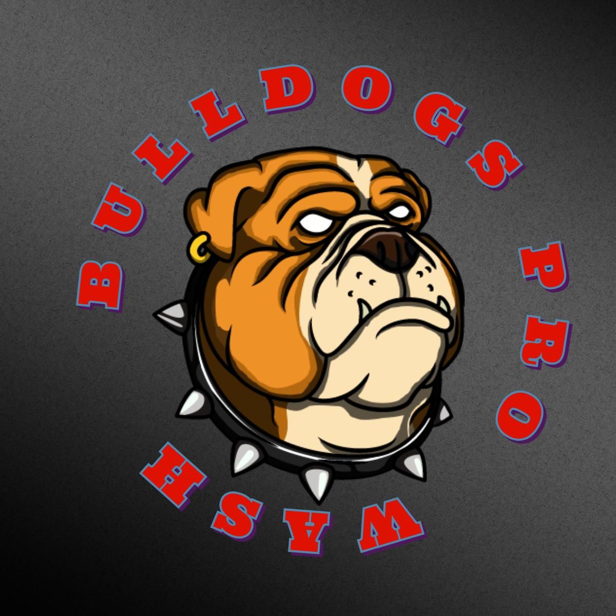 bulldogsprowash