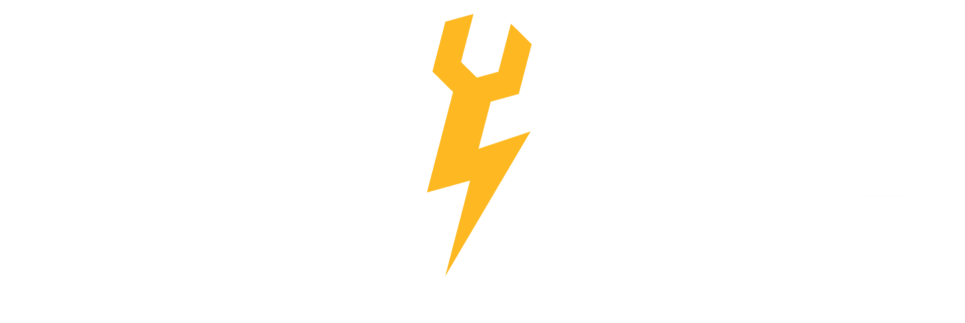 TRUEPLUS SERVICES LLC
