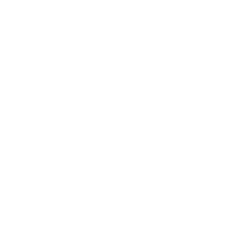 APS SERVICE GMBH