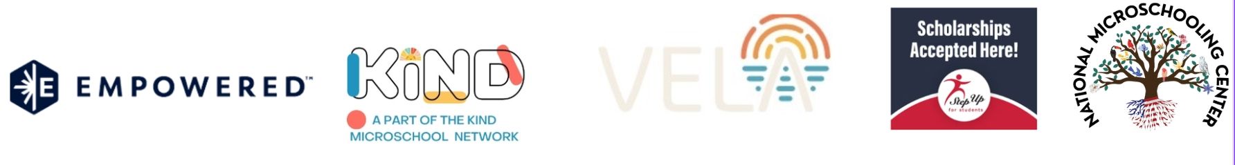 Vibrant Minds Learning Collective 