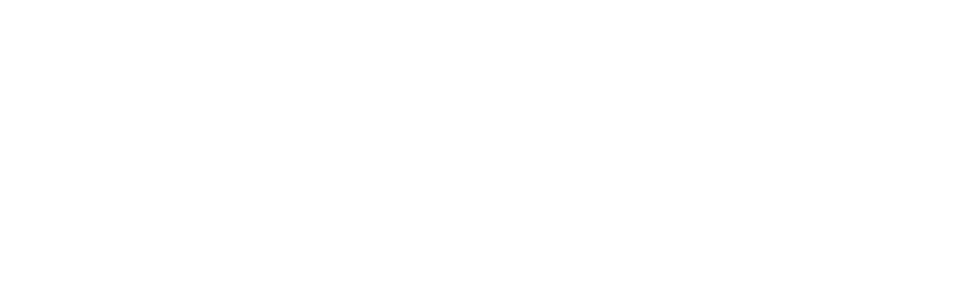 Functional Medicine Consulting