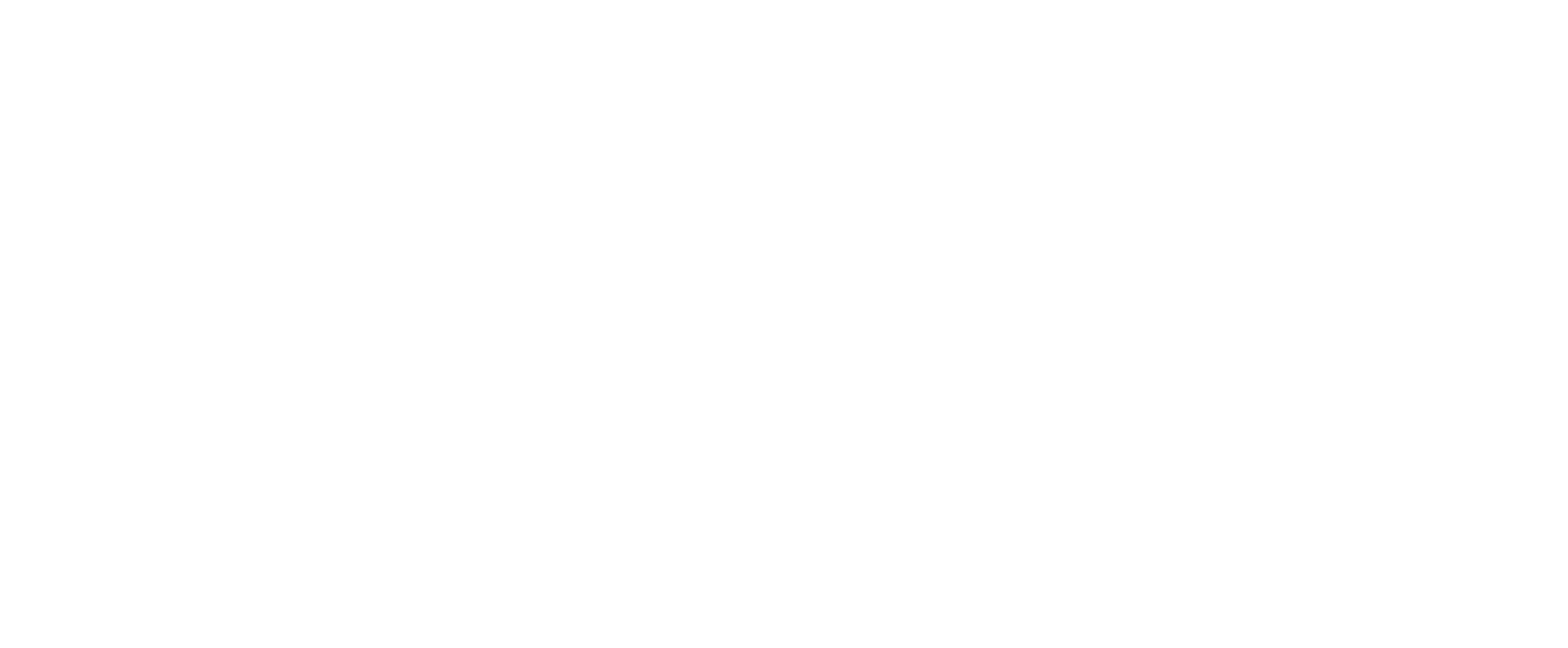 VIRTUS VENTURES GROUP 
