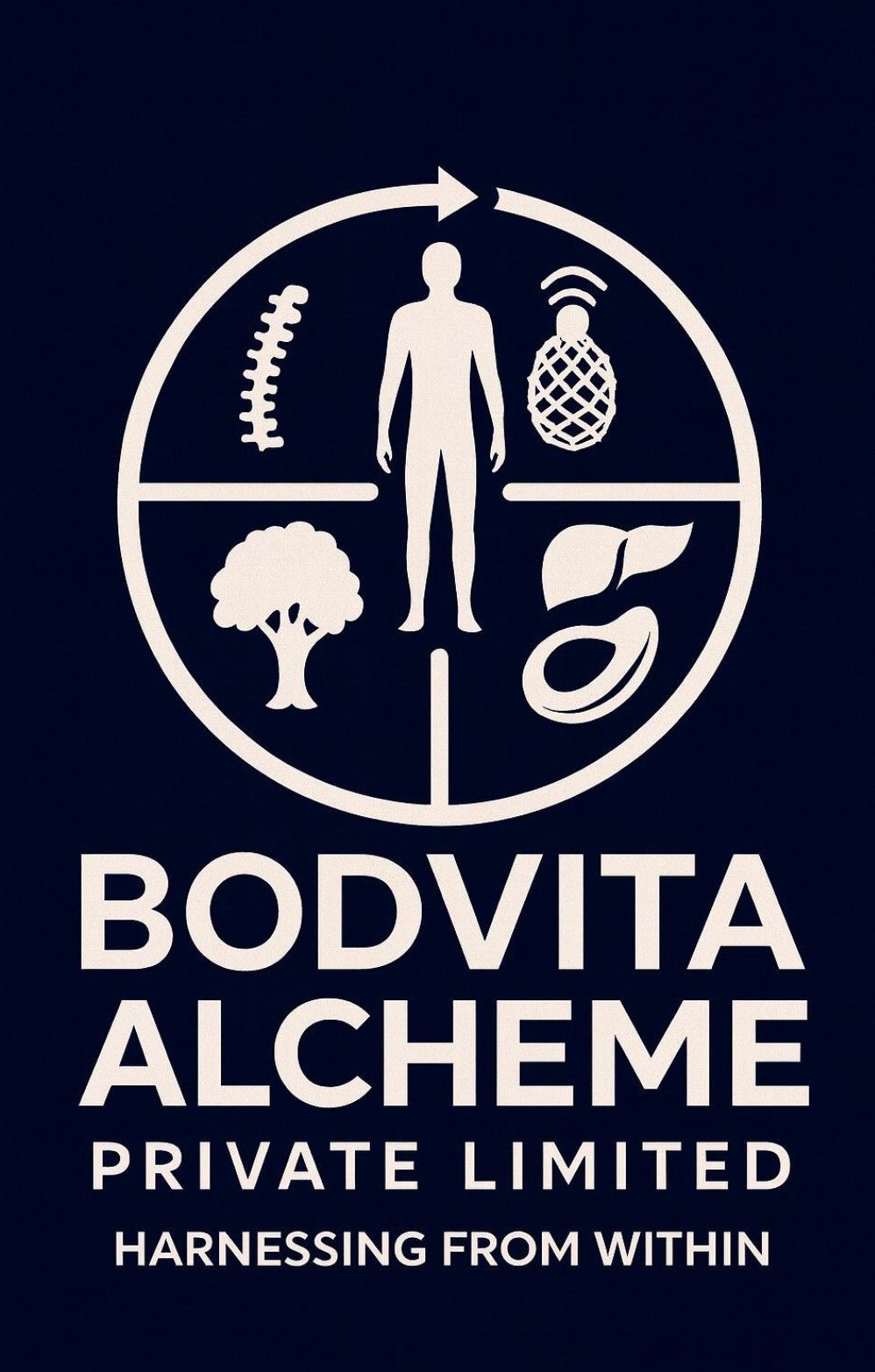 Body Vita Coach