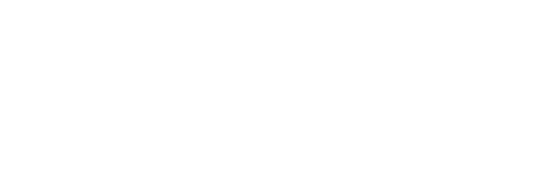 The Alluzion Group