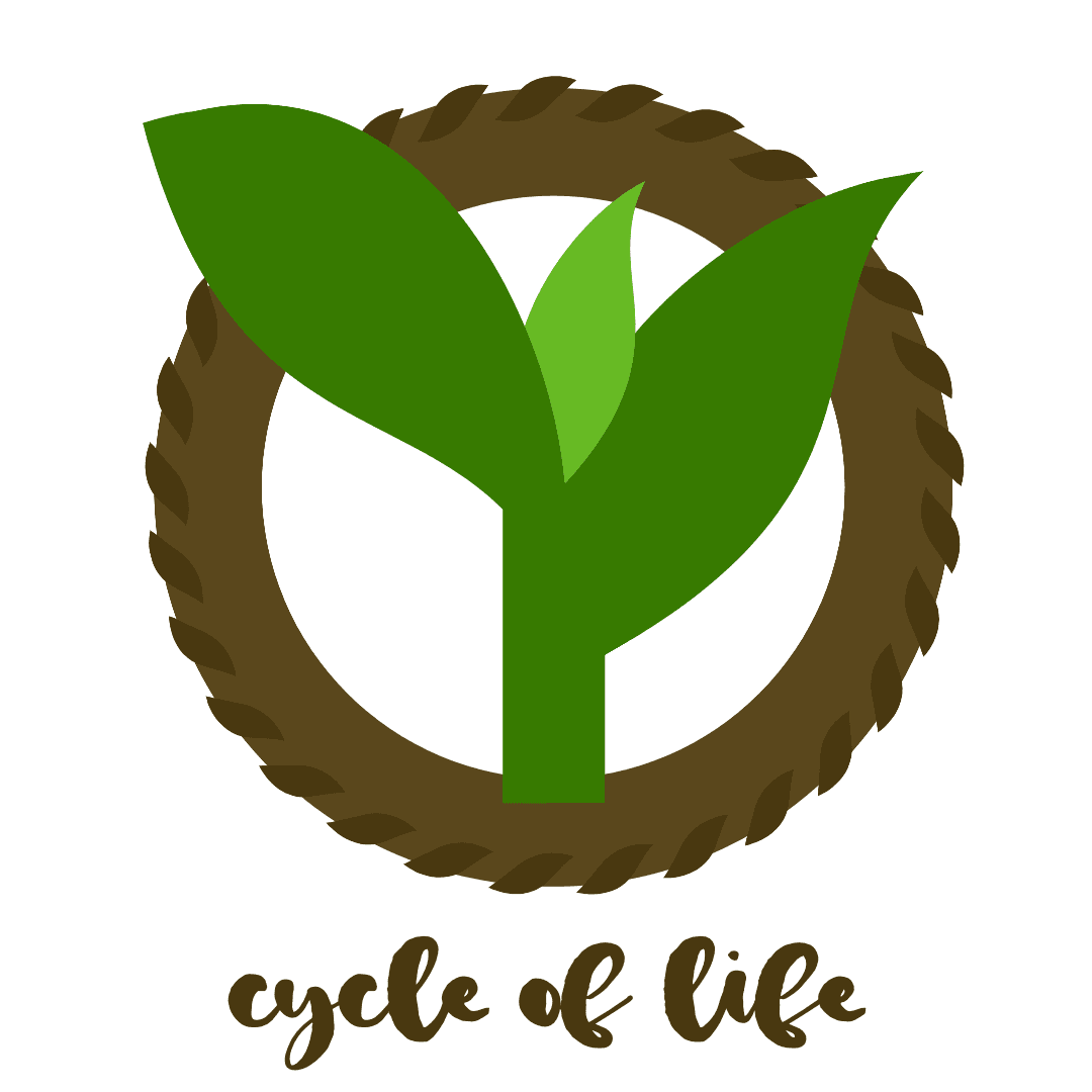 Cycle Of Life
