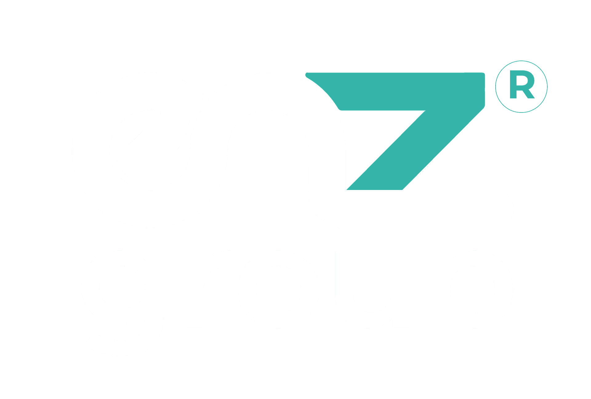 Enz Group