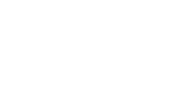 Llama Corp