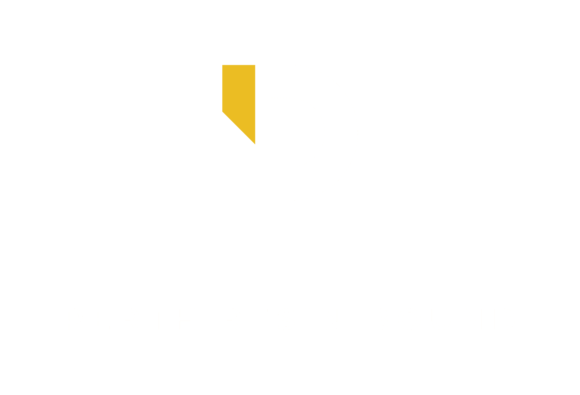 Perth Resin Bound