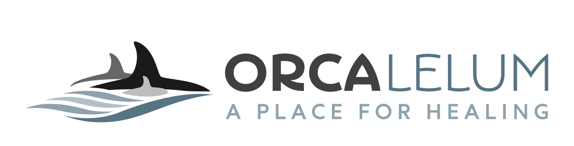 Orca Lelum Youth Wellness Centre
