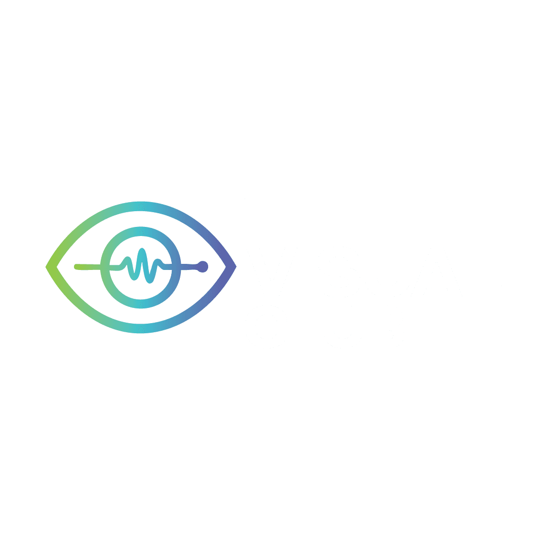 The Visual Club