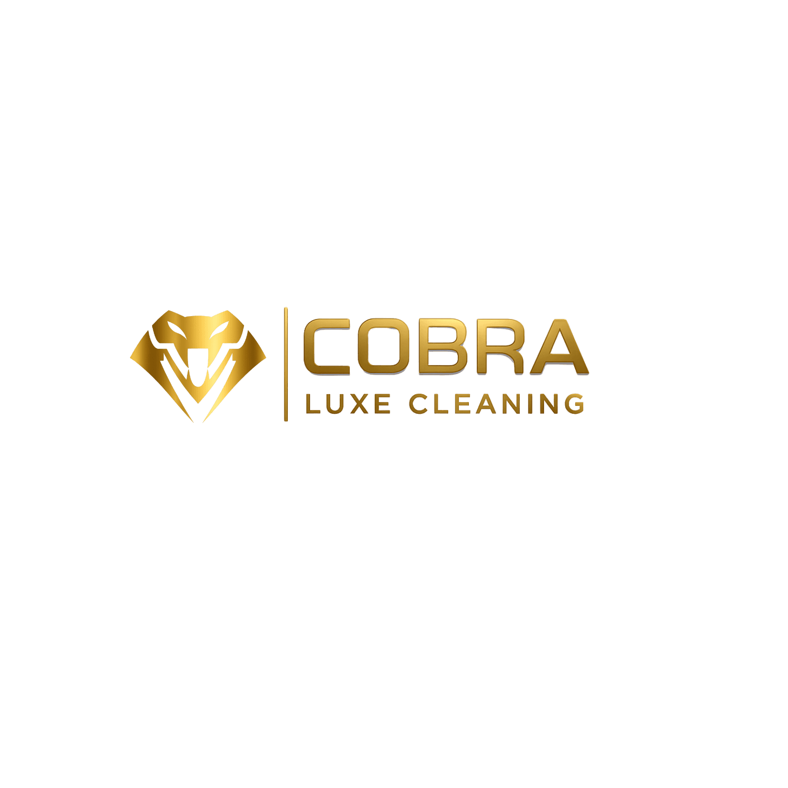 Cobra Luxe Cleaning