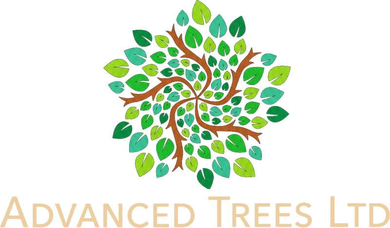 ADVANCED TREES LTD 