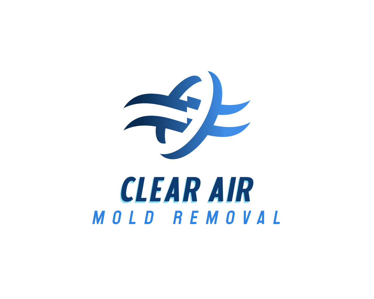 Clear Air Mold Remediation & Power Washing Services