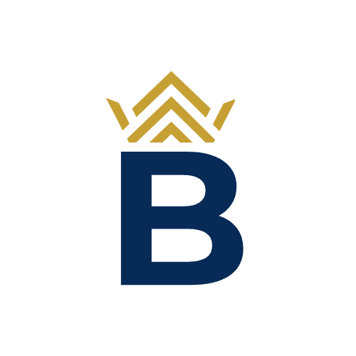 THE BLISZ ORGANISATION