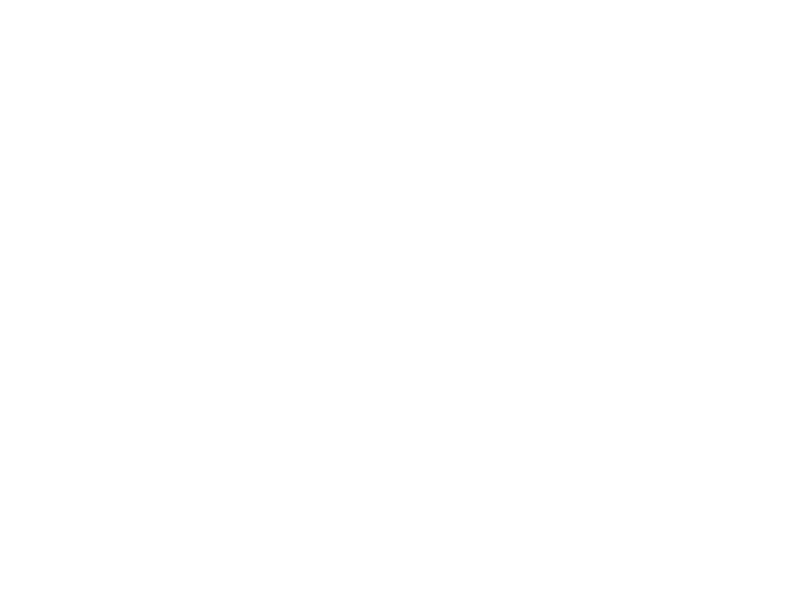 Swiftbridge Partners