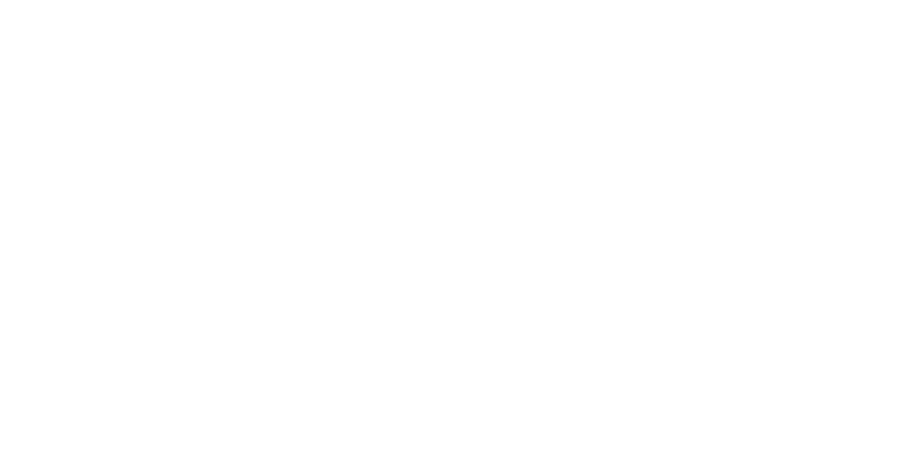 TechForce Advisors