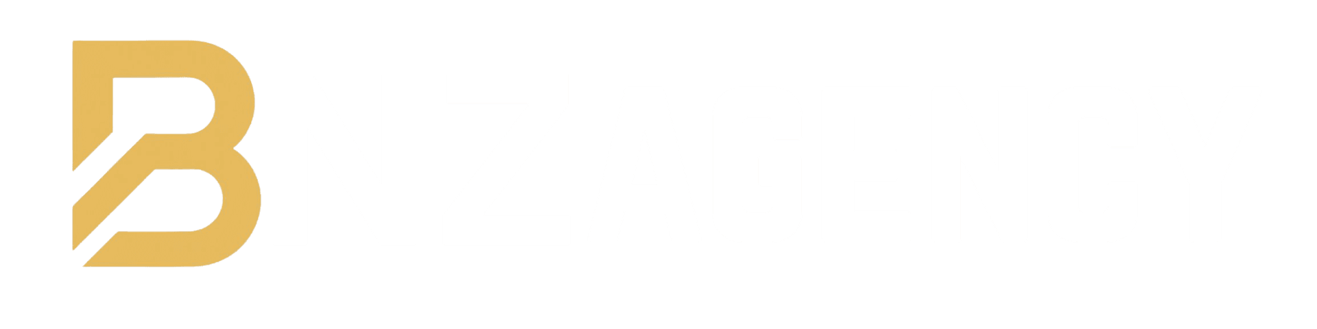 bnz zaml