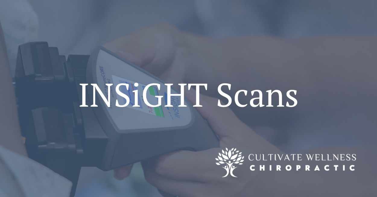 Insight Scanning Software INSIGHT Scans