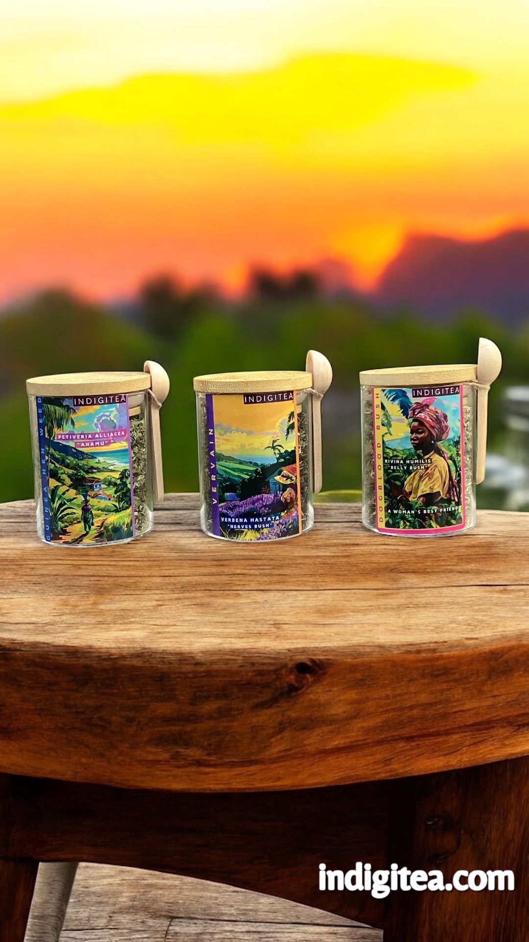Loose leaf teas, vervain, Dogblood, Guineahen weed, Anamu, in glass jars, bamboo lid and spoon