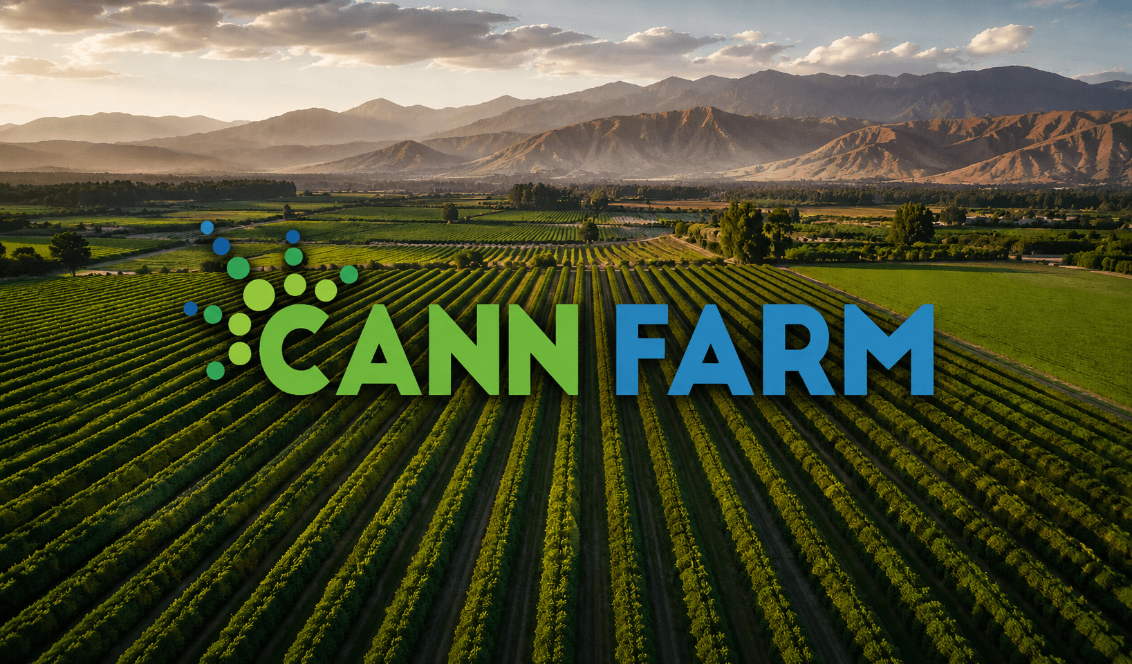 Cann Farm logo