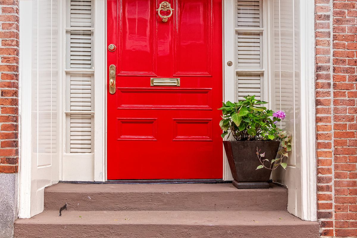  red door and potted plant on the steps. residence front entrance