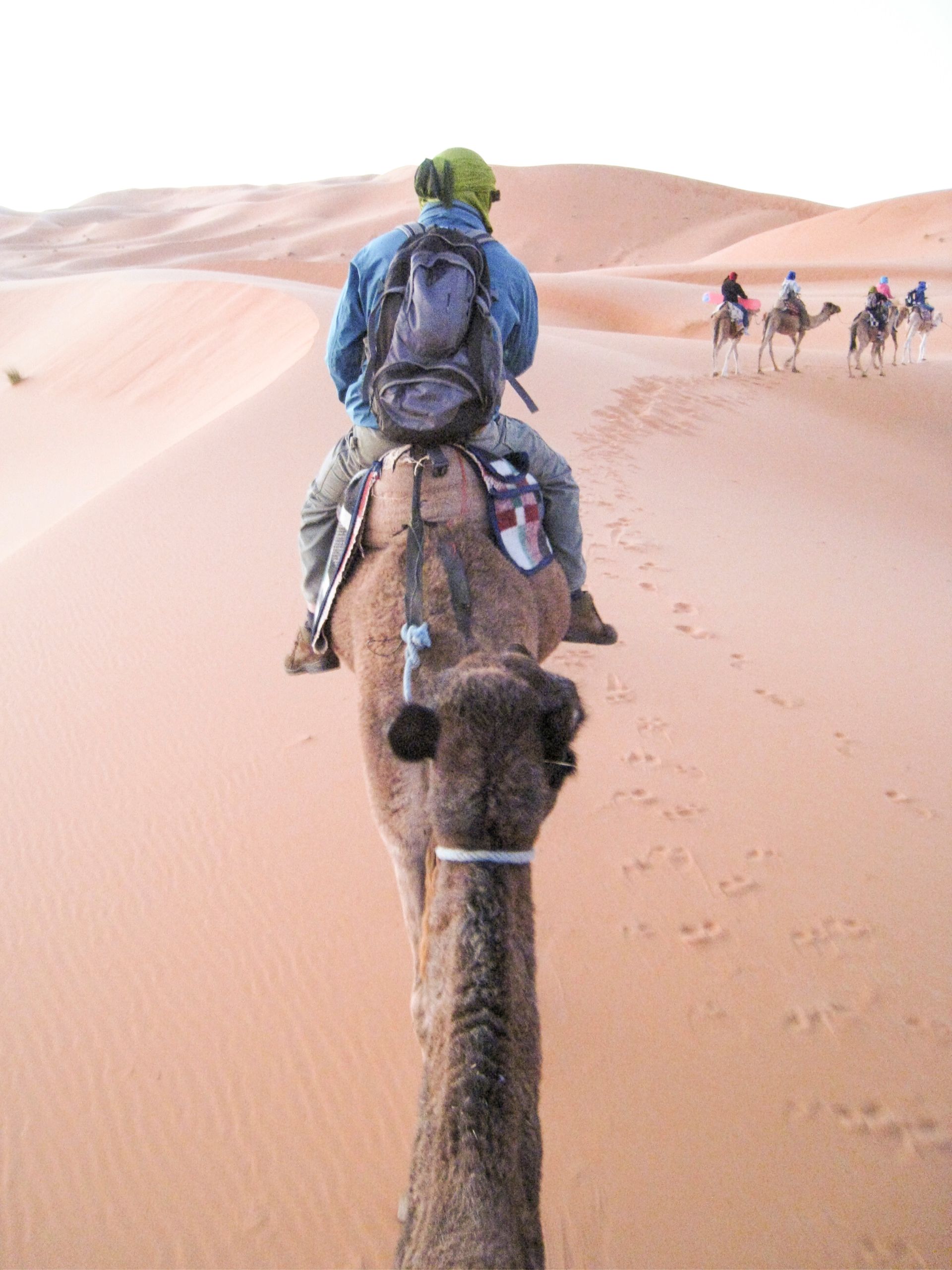 Riding camels through the desert Riding camels through the desert