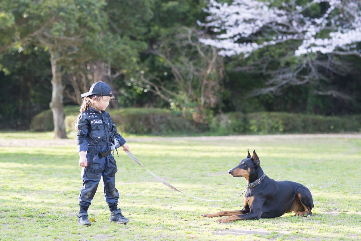 Beautiful Doberman and Little Girl in Police Costume